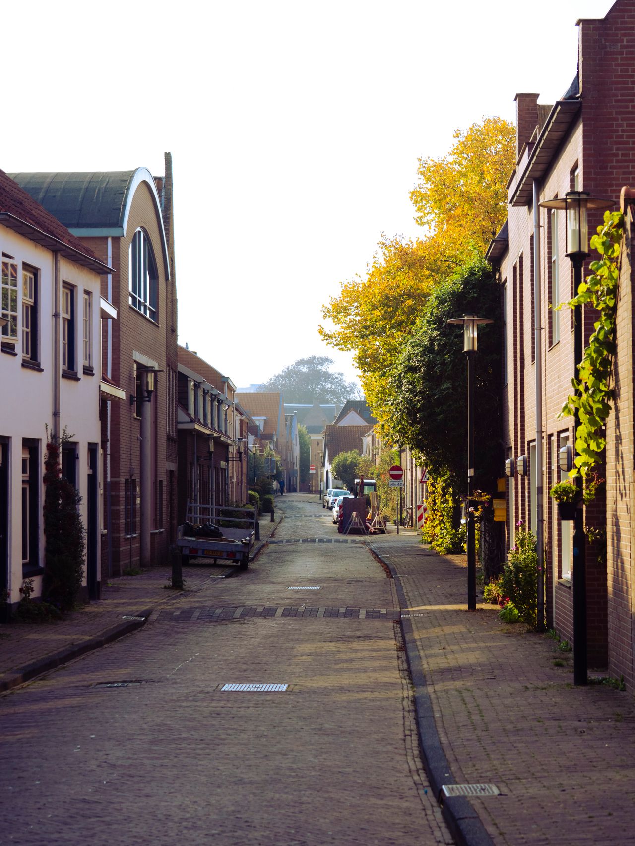 Woonstraat in herfstkleuren